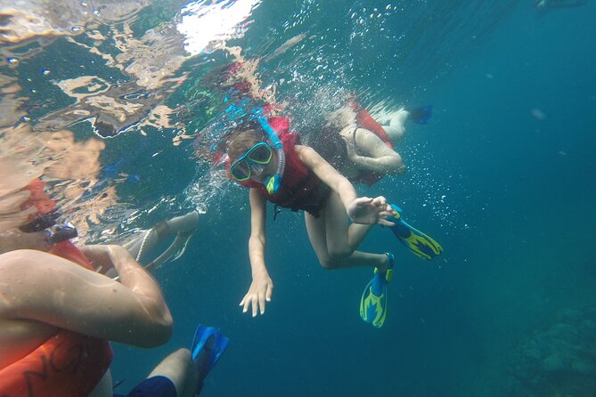 Private Snorkeling Adventure: Los Arcos & Colomitos Beach - Marina Vallarta check-in: quick start, clear expectations