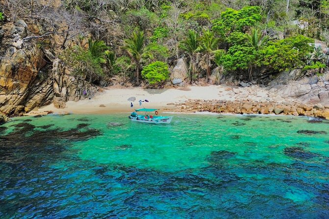 Private Snorkeling Tour to Yelapa from Boca de Tomatlán - Price and value: why $95.31 can make sense for a private day