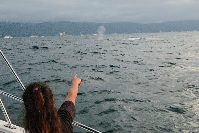 Private Tour 3 Hours of Whale Watching - Timing, delays, and why you should plan for a flexible morning