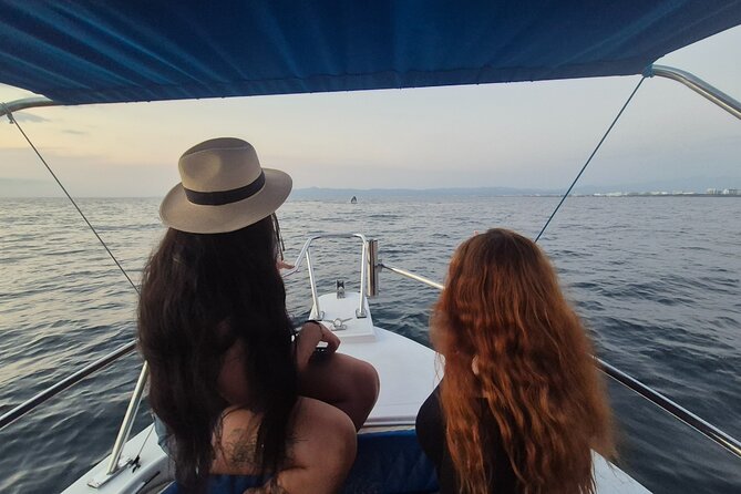 Private Tour 3 Hours of Whale Watching - Boarding at Los Peines: where the day starts