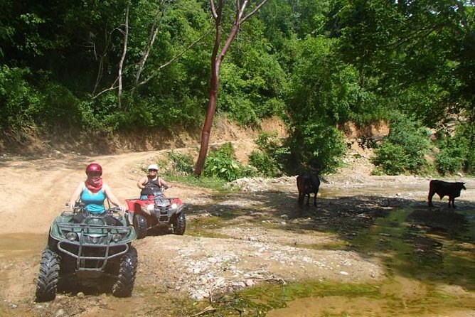 Private Tour: ATV SIERRA MADRE rivers with Tequila Tasting - The Return to Town: More Sight Stops and a “Done Right” Finish
