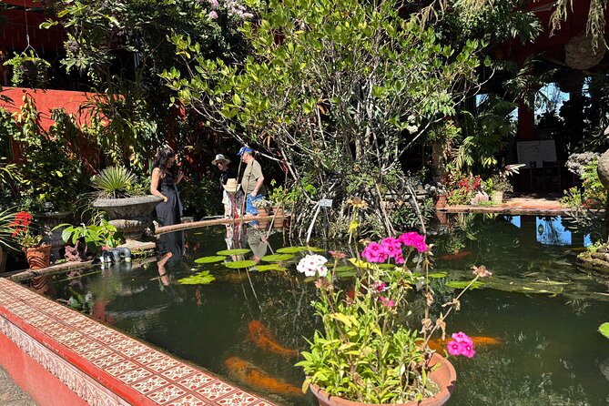 Private Tour: Botanical Garden & Petroglyphs - Jardin Botanico de Vallarta: trails, orchids, and birds