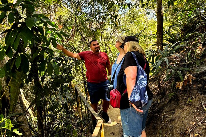 Private Tour: Botanical Garden & Petroglyphs - The traditional mountain bakery stop: clay-oven smells and local rhythm
