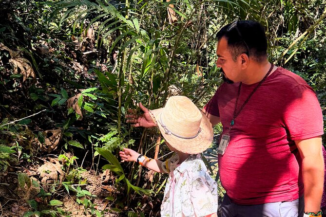 Private Tour: Botanical Garden & Petroglyphs - Price and value: $310 per group up to four