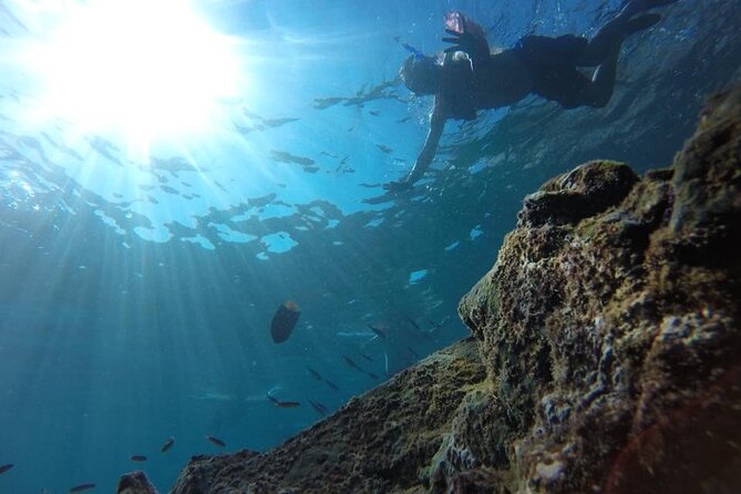 Private Tour Hidden Beach - Nopalera Beach and the boat-to-shore swim reality