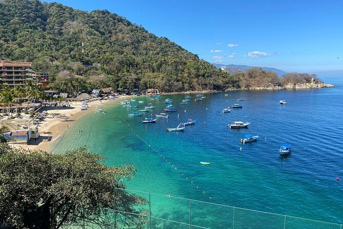 Private Tour of Puerto Vallarta and the Subtropical Forest - Tequilera Ojo de Vidrio, El Nogalito: tasting 7 to 8 tequila styles