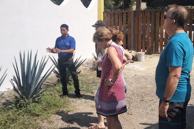 Private Tour, Sayulita & San Pancho - Guide Style Is the Difference Between a Good Day and a Great One