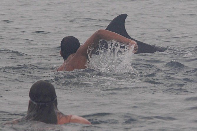 Private Wild Dolphin Encounter in Puerto Vallarta - Meeting at Marina Vallarta: what to expect before you cruise