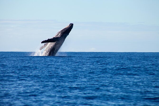 Private Yacht, Sightseeing, Snorkeling and Private beaches - A Private Yacht Day in Puerto Vallarta, Built for Space and Views