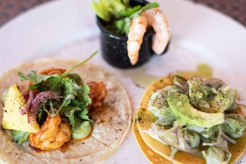 Puerta Vallarta: Seafood Lover's Food Tour - Key points before you go
