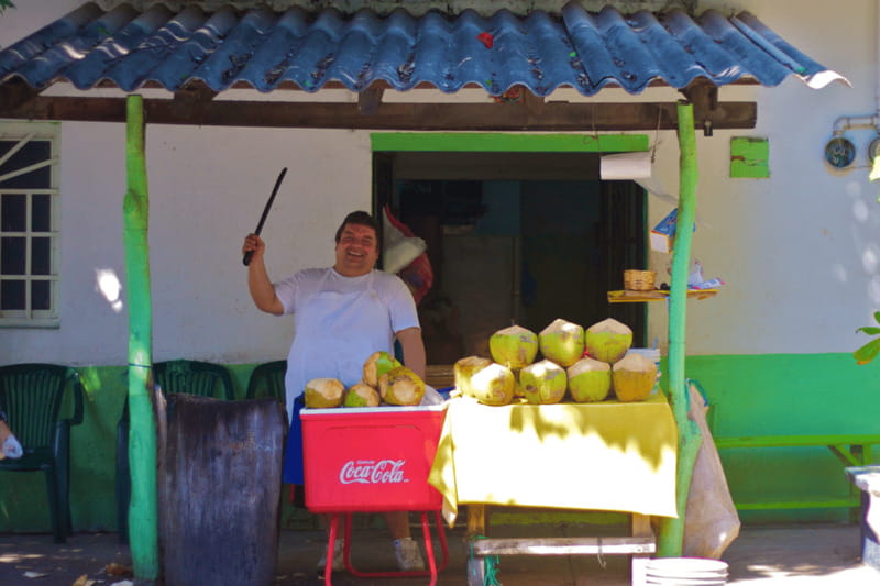 Puerto Vallarta 3-Hour Food Tour of Authentic Local Cuisine - The 7 tasting moments that make this tour a real lunch
