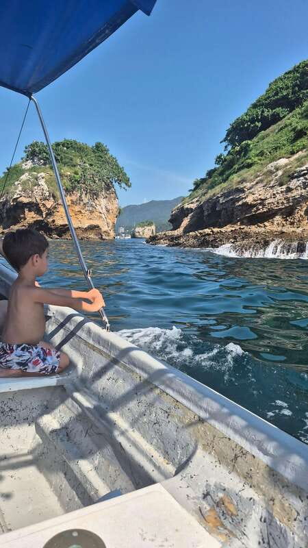 Puerto Vallarta: 3-Hour Whale Watching and Snorkeling - Price and value: is $45 really a bargain?