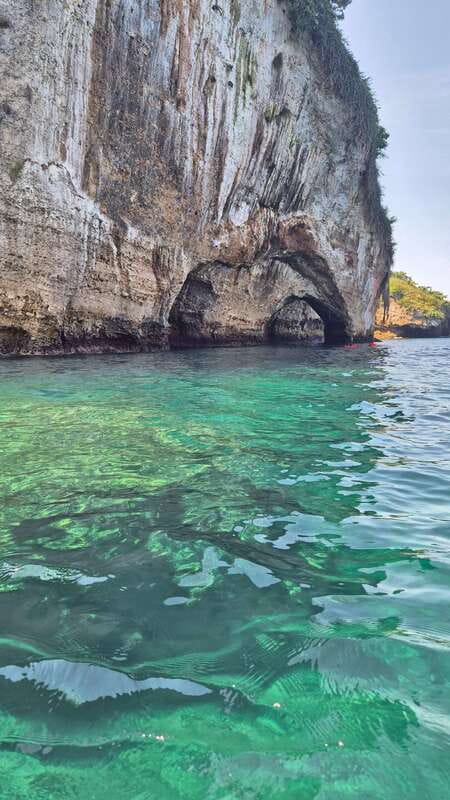 Puerto Vallarta: 3-Hour Whale Watching and Snorkeling - Who should book it, and who should skip it