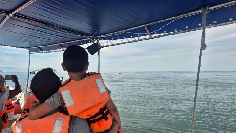 Puerto Vallarta: 3-Hour Whale Watching and Snorkeling - Practical tips to make your whale watch smoother
