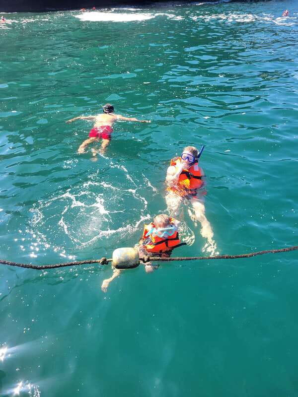 Puerto Vallarta: 3-Hour Whale Watching and Snorkeling - Getting started at the marina: meeting point and first impressions