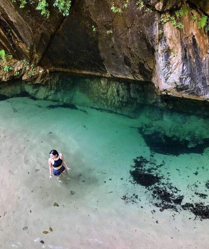 Puerto Vallarta: 4-Hour Jungle Hike and Waterfall Swim - First Hike Stretch: Views, Timing, and Why the Break Matters