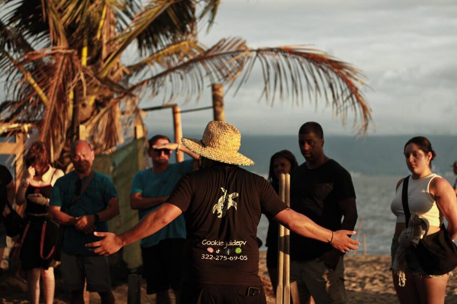 Puerto Vallarta: Baby Turtle Release in Conservation Area - Getting There: The Paseo Bocanegra Meeting Point Setup
