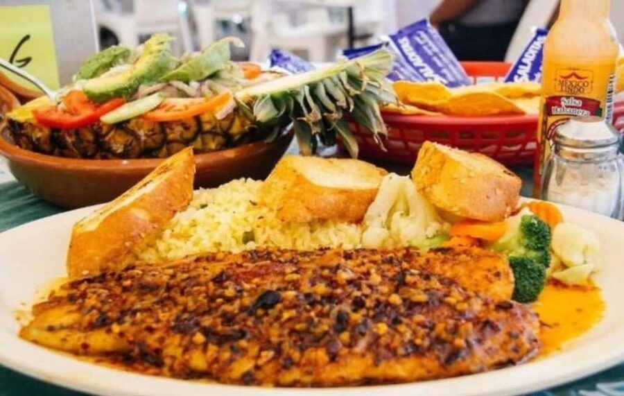 Puerto Vallarta: Beach, Breakfast, Lunch & Open Bar - Los Arcos snorkeling: where the fish are, and how to maximize your time