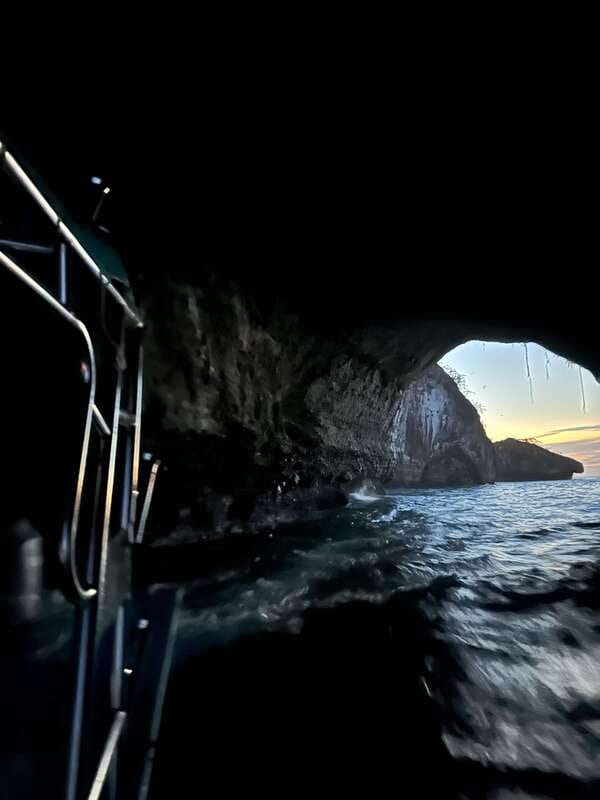 Puerto Vallarta: Bioluminescence in Los Arcos Marine Park - Key things I think you’ll love
