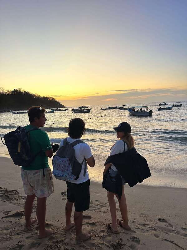 Puerto Vallarta: Bioluminescence in Los Arcos Marine Park - Price and what you actually get for $76