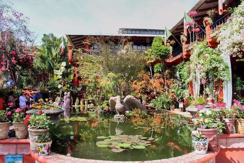 Puerto Vallarta: Botanical Gardens, Distillery & Coffee Tour - Key things I think are especially worth your attention