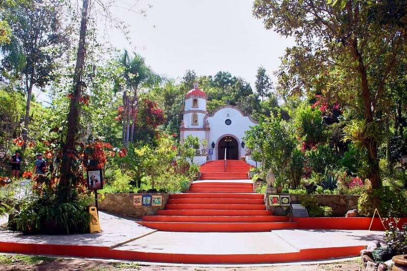 Puerto Vallarta: Botanical Gardens, Distillery & Coffee Tour - Puerto Vallarta Botanical Gardens: 8 hectares built for orchids and local conservation
