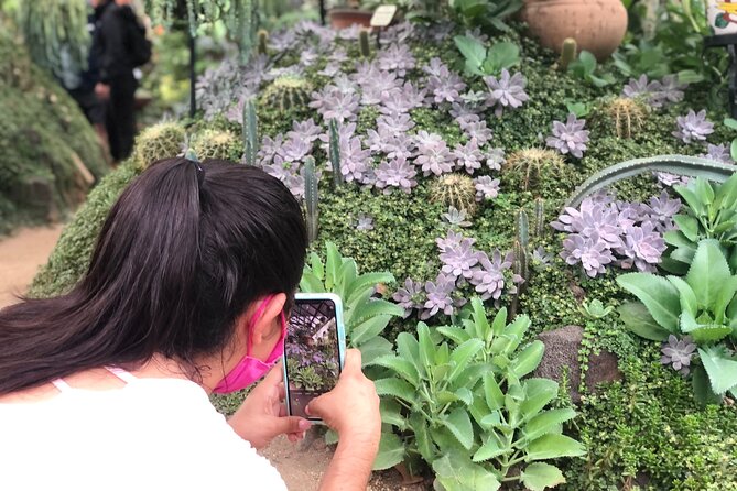 Puerto Vallarta Botanical Gardens Hiking Tour - Getting to Los Veranos: meeting point, timing, and transport basics