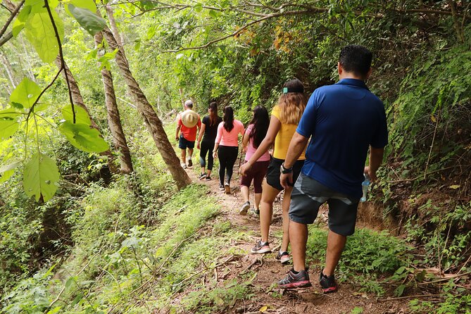 Puerto Vallarta Botanical Gardens Hiking Tour - Kayaks, rock slides, and tubing: what weather can change