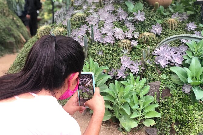 Puerto Vallarta Botanical Gardens Hiking Tour - Price and group size: is $102 really good value?