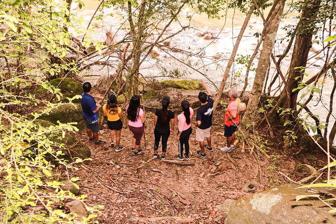Puerto Vallarta Botanical Gardens Hiking Tour - Who should book, and who should choose the easier option