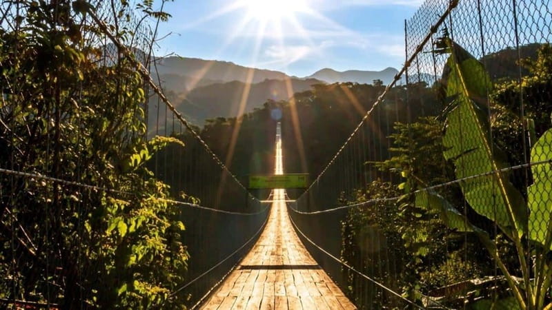 Puerto Vallarta: Canopy River + Jorullo Bridge Pass - Infinity Pool Finale, Welcome Drink, and Tequila Tasting
