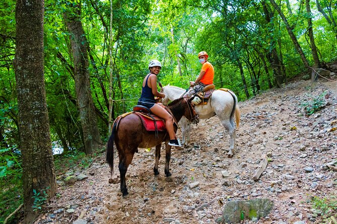 Puerto Vallarta Canopy Tour:Zip-lines and mule ride at the Sierra - Zip lines above Sierra trees and a small-group vibe