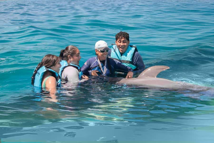 Puerto Vallarta: Dolphin Swimming and Aquaventuras Park - Key highlights that make this dolphin swim ticket worth a look