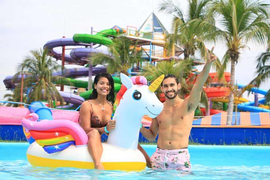 Puerto Vallarta: Dolphin Swimming and Aquaventuras Park - Practical details that affect your day more than you think