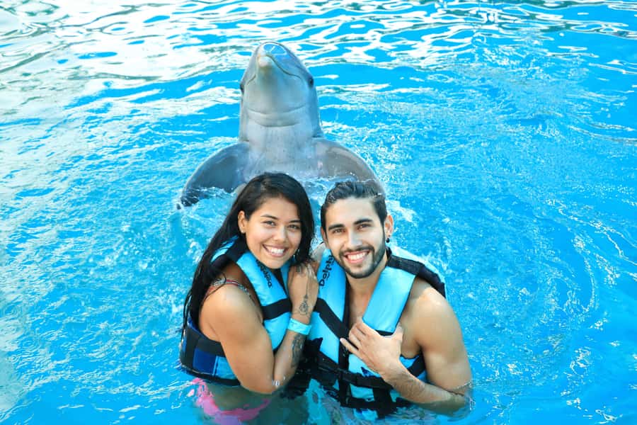 Puerto Vallarta: Dolphin Swimming and Aquaventuras Park - Dolphin program rules for kids: height, age, and what each child can do