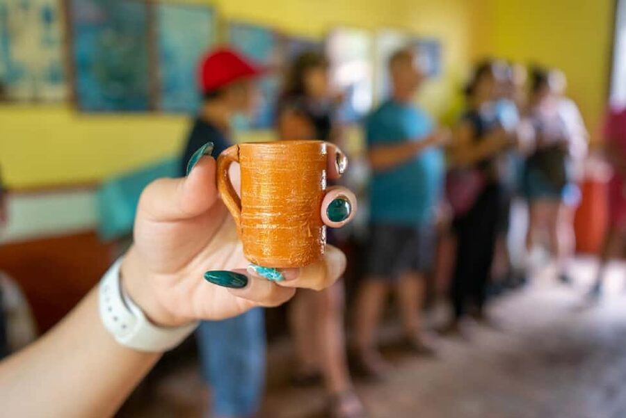 Puerto Vallarta: Guided San Sebastian Tour - Sierra Madre lunch breaks you actually enjoy