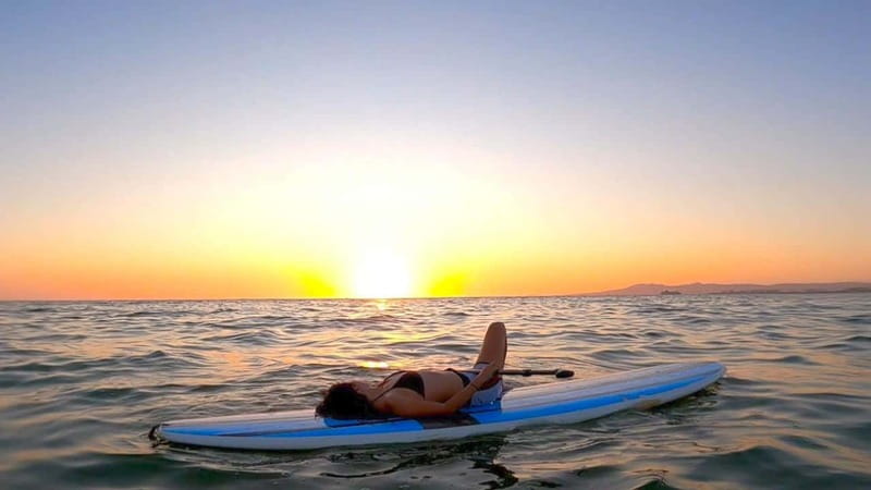 Puerto Vallarta: Guided SUP Board Tour with Digital Photos - Wildlife sightings: the Bay can surprise you
