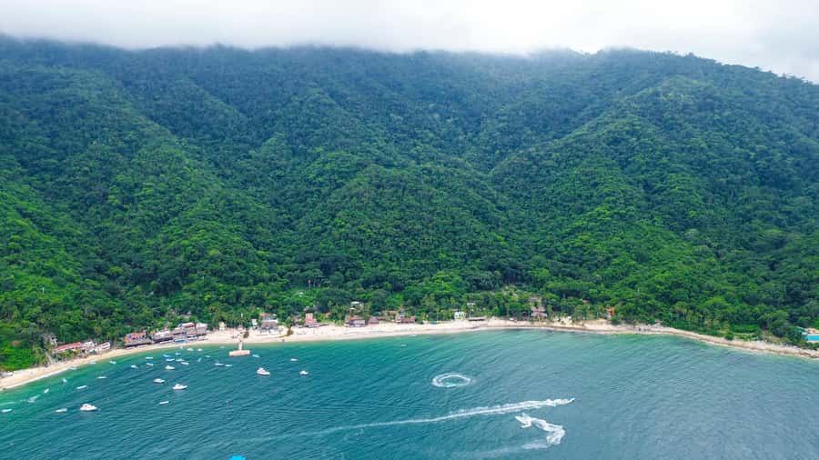 Puerto Vallarta: Hidden Beaches & Adventure Park - Lunch by the ocean: the value part of the whole day