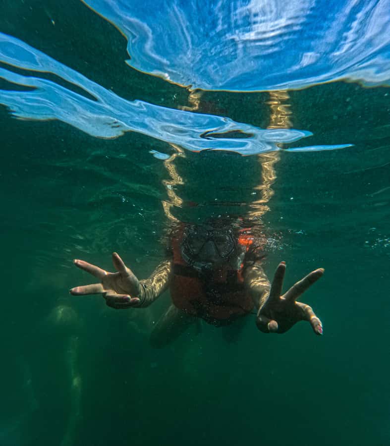 Puerto Vallarta: Hidden Beaches & Adventure Park - What you are really paying for: $41 in context