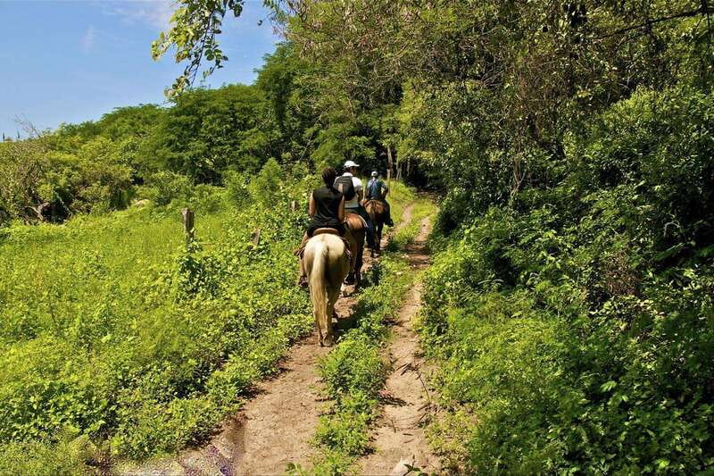 Puerto Vallarta Horseback Riding - Who This Tour Fits, and Who Should Skip It