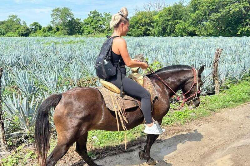 Puerto Vallarta: Horseback Riding, Lunch & Unlimited Drinks - Should you book Puerto Vallarta horseback riding with lunch and unlimited drinks?