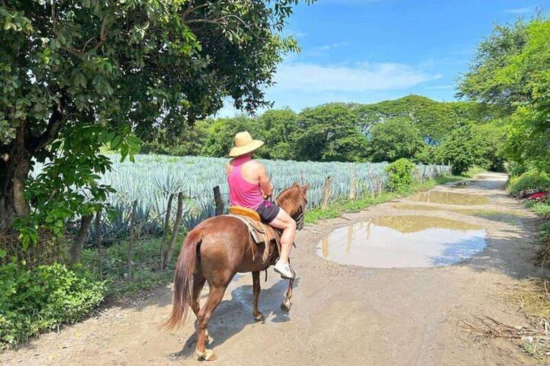 Puerto Vallarta: Horseback Riding, Lunch & Unlimited Drinks - Traditional Mexican BBQ lunch plus unlimited margaritas