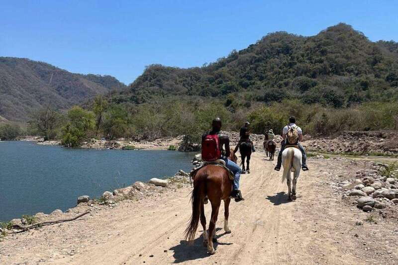 Puerto Vallarta: Horseback Riding, Lunch & Unlimited Drinks - What the 5 hours includes, and why it feels like value