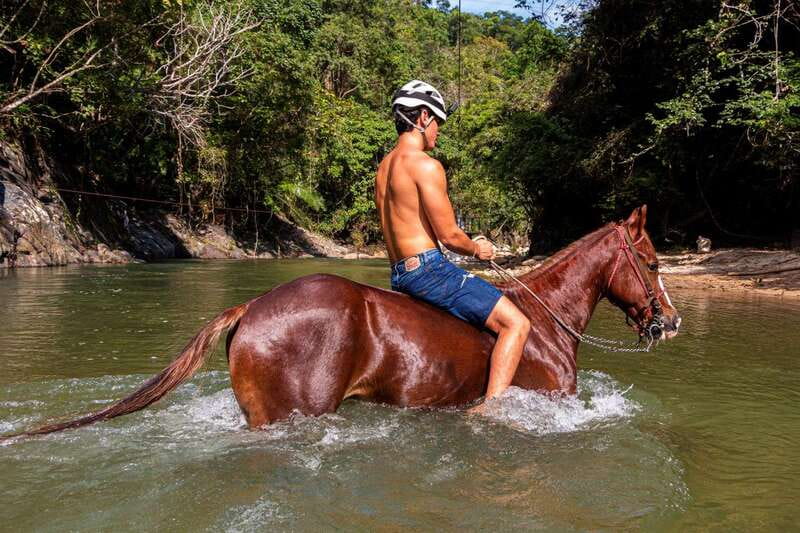 Puerto Vallarta Horseback Riding - From Pickup to Saddle: How the First Hour Usually Shapes the Day