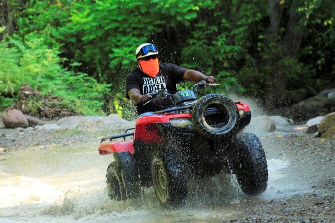 Puerto Vallarta Jungle Tour or RZR + Tequila - The Jungle Ride: Power, Pines, and What to Expect on Timing