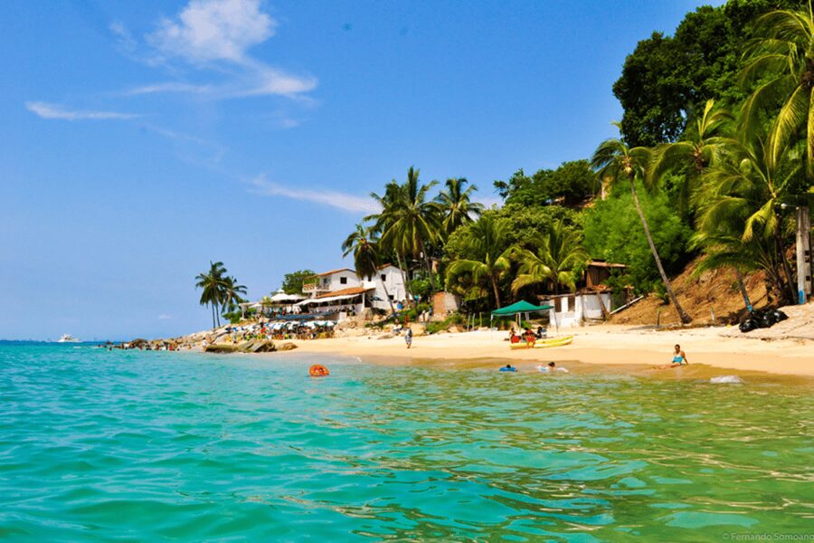 Puerto Vallarta: Los Arcos, Ánimas, and Quimixto Boat Tour - Los Arcos National Park snorkeling, the star stop