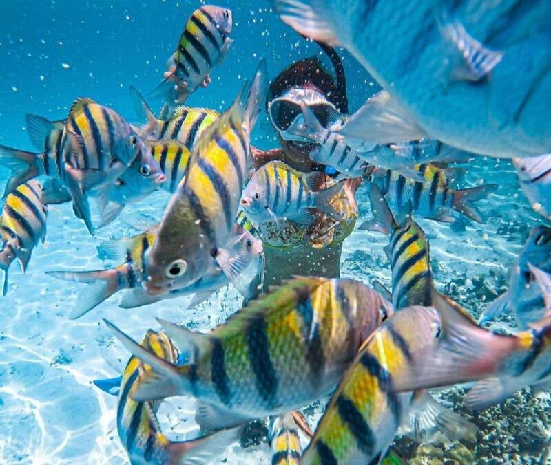 Puerto Vallarta: Los Arcos Islands Boat Tour and Snorkeling - From the OXXO Meet-Up to Mismaloya, This Starts Like Local Travel
