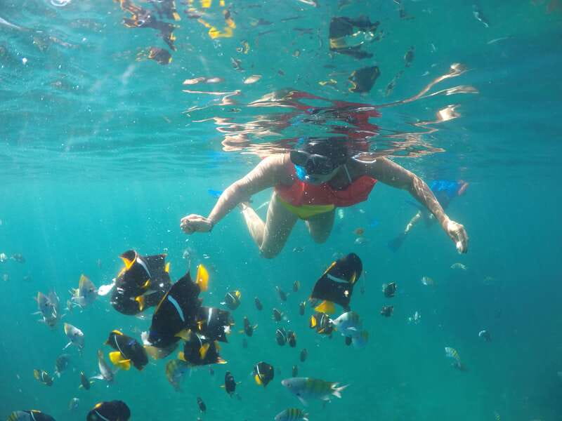 Puerto Vallarta: Luxury Yacht Tour with Lunch and Open Bar - Key Highlights You’ll Actually Feel