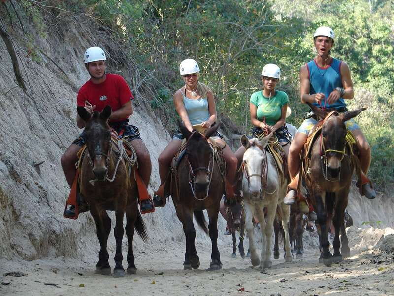 Puerto Vallarta: Outdoor Ziplines and Rappel Adventure - Key highlights worth waking up for