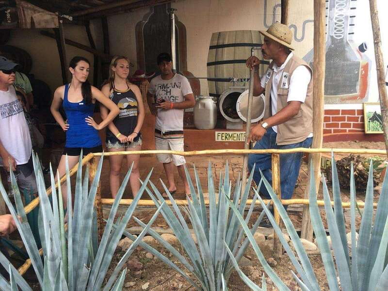 Puerto Vallarta: Predator ATV & Tequila Tour - The Predator Jungle Crossroads: Movie Vibes, Real Dirt Reality